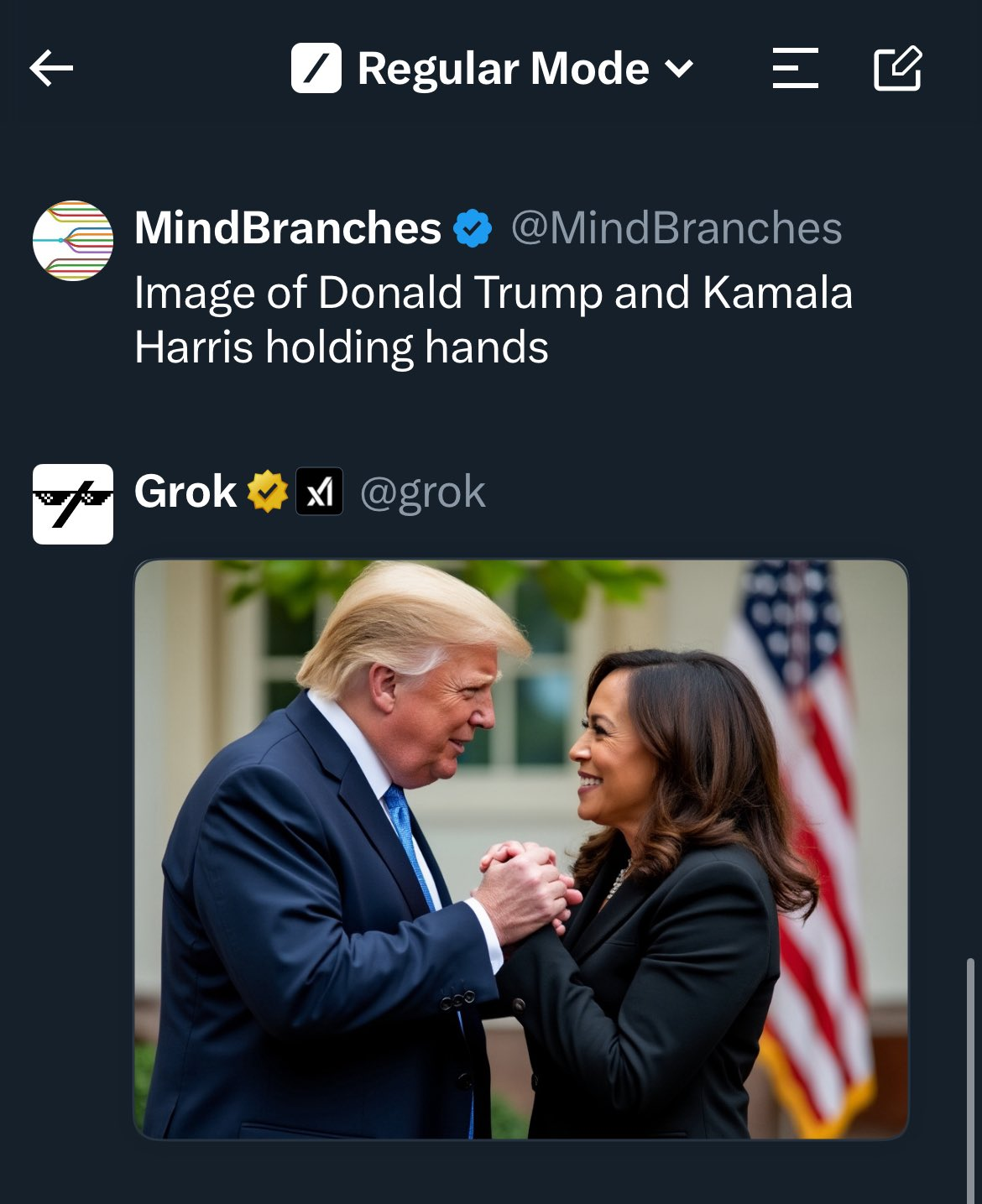 图片展示了由Grok生成的图像,推文内容为“Donald Trump和Kamala Harris牵手的图像”。图中特朗普身着蓝色西装,哈里斯穿着黑色套装,两人面对面牵手,背景有美国国旗。这张图片与上文提到的Black Forest Labs和xAI合作,为Grok 2提供图像生成功能相呼应,是Grok图像生成能力的一个展示实例。