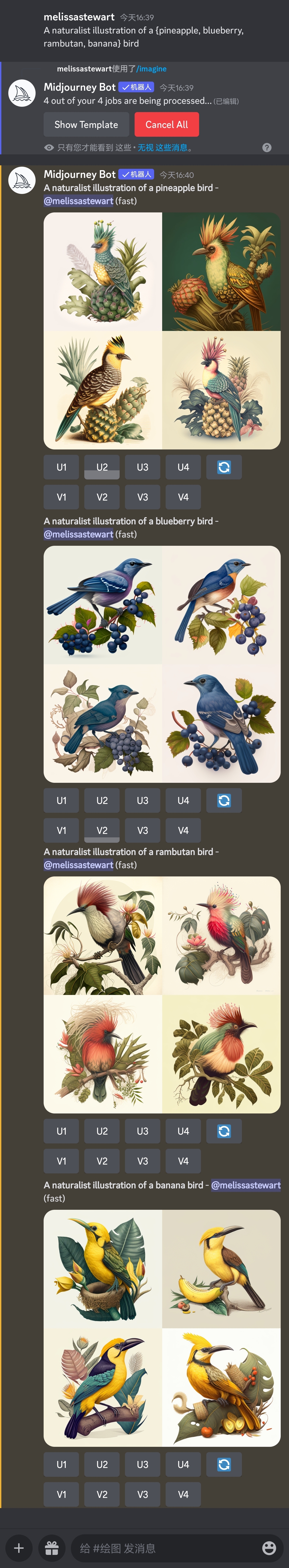 图片展示了MidJourney AI使用排列特征功能生成的图像结果。用户输入提示“A naturalist illustration of a {pineapple, blueberry, rambutan, banana} bird”后,MidJourney Bot生成了四组图像,分别为菠萝鸟、蓝莓鸟、红毛丹鸟和香蕉鸟的自然主义插图,每组包含4张不同样式的图。图像中鸟儿色彩鲜艳,与对应的水果及植物背景搭配,呈现出自然主义插画风格。这些图像直观呈现了排列特征功能仅替换大括号内主题来生成变体图像的效果。