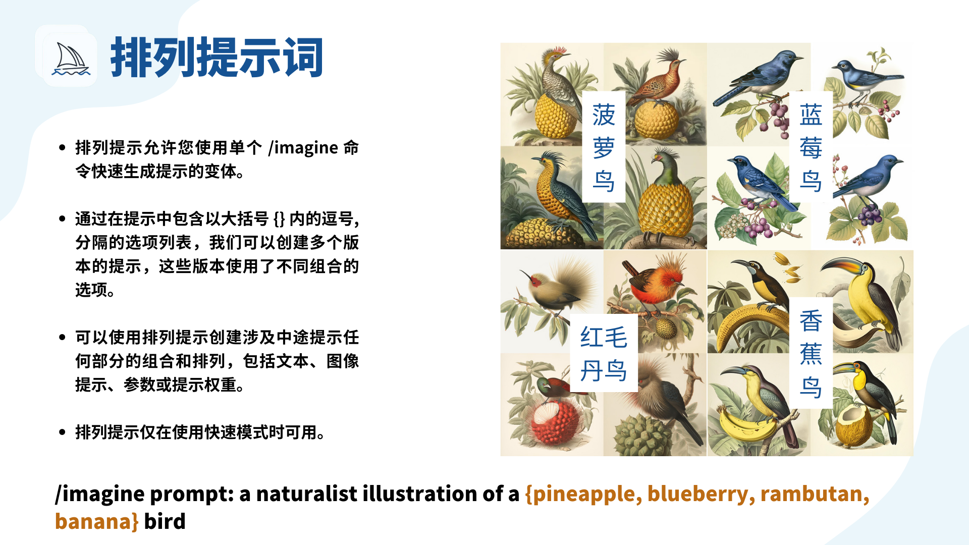 图片展示了Midjourney的排列提示词功能。左侧以列表形式介绍，排列提示允许用单个/imagine命令快速生成提示变体，通过大括号内逗号分隔选项列表创建不同版本提示，可涉及文本等部分组合排列，且仅在快速模式可用。右侧是示例图像，呈现了菠萝鸟、蓝莓鸟、红毛丹鸟、香蕉鸟的自然主义插画。下方给出/imagine提示命令示例“a naturalist illustration of a {pineapple, blueberry, rambutan, banana} bird” ，直观展现了排列提示词的应用。