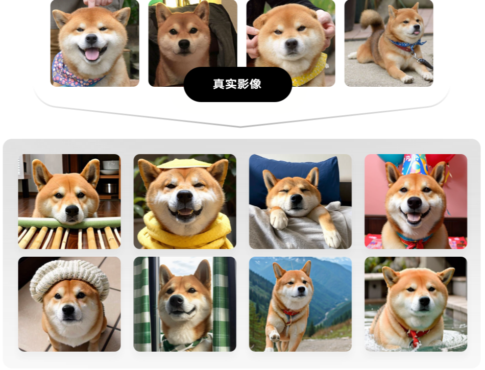 图片展示了多组柴犬的影像。上方是四张柴犬的真实影像,有的张嘴露舌,有的被人抚摸。下方是八张经过处理的柴犬影像,它们或戴着帽子、围巾,或身处不同场景,如室内、户外山水间等。图片位于文档中“宠物影像”场景案例部分,展示了通过SD云端版本可对宠物影像进行创作处理,呈现出多样的宠物形象效果,体现了该版本在宠物影像创作方面的应用。