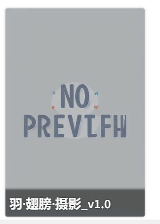 图片展示了一个灰色背景的图标，图标中间有“NO PREVIFH”字样，字体颜色为深蓝色。图标下方有一行白色文字“羽·翅膀·摄影_v1.0”。此图片位于文档“SD跑图记录”下“羽翅膀”内容部分，可能是与“羽翅膀”相关的摄影作品标识或跑图成果展示中的一个图标，具体用途需结合更多跑图相关信息判断。