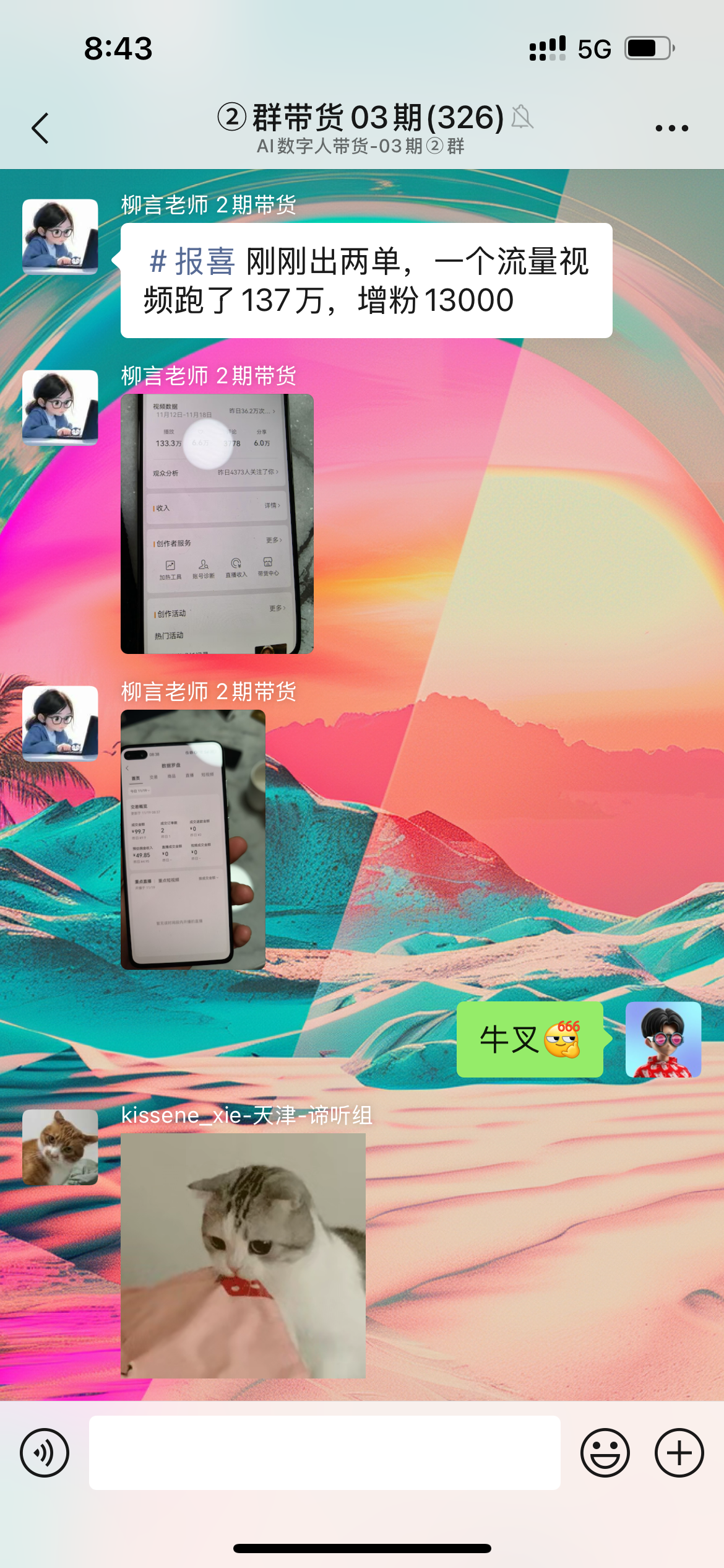 图片展示的是一个视频号群带货的聊天界面。上方显示时间为8:43,有“群带货03期(326)”的群聊标题。群内有用户分享“#报喜 刚刚出两单,一个流量视频跑了137万,增粉130000”的内容,下方配有手机屏幕截图。画面右下角有“牛叉”“牛叉”表情,左下角有“kissense”de-天津-谛听组”标识。该图片与上下文介绍的视频号带货群聊互动场景相契合,直观呈现了群聊中分享带货数据及互动情况。