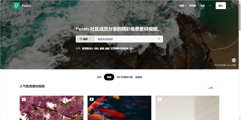 图片展示的是Pexels网站界面。上方有“Pexels”标志及搜索栏，下方文字介绍Pexels社区成员分享的精彩免费素材视频。画面背景为海浪冲击岩石的场景。下方有“视频”标签，以及人气免费素材视频展示区域，包含多张图片，如盛开的樱花、水中游动的锦鲤等。该图片与上下文紧密相关，上下文提到可通过Pexels下载免费视频素材，增强视频画面感，此图直观呈现了该网站的界面及素材类型。