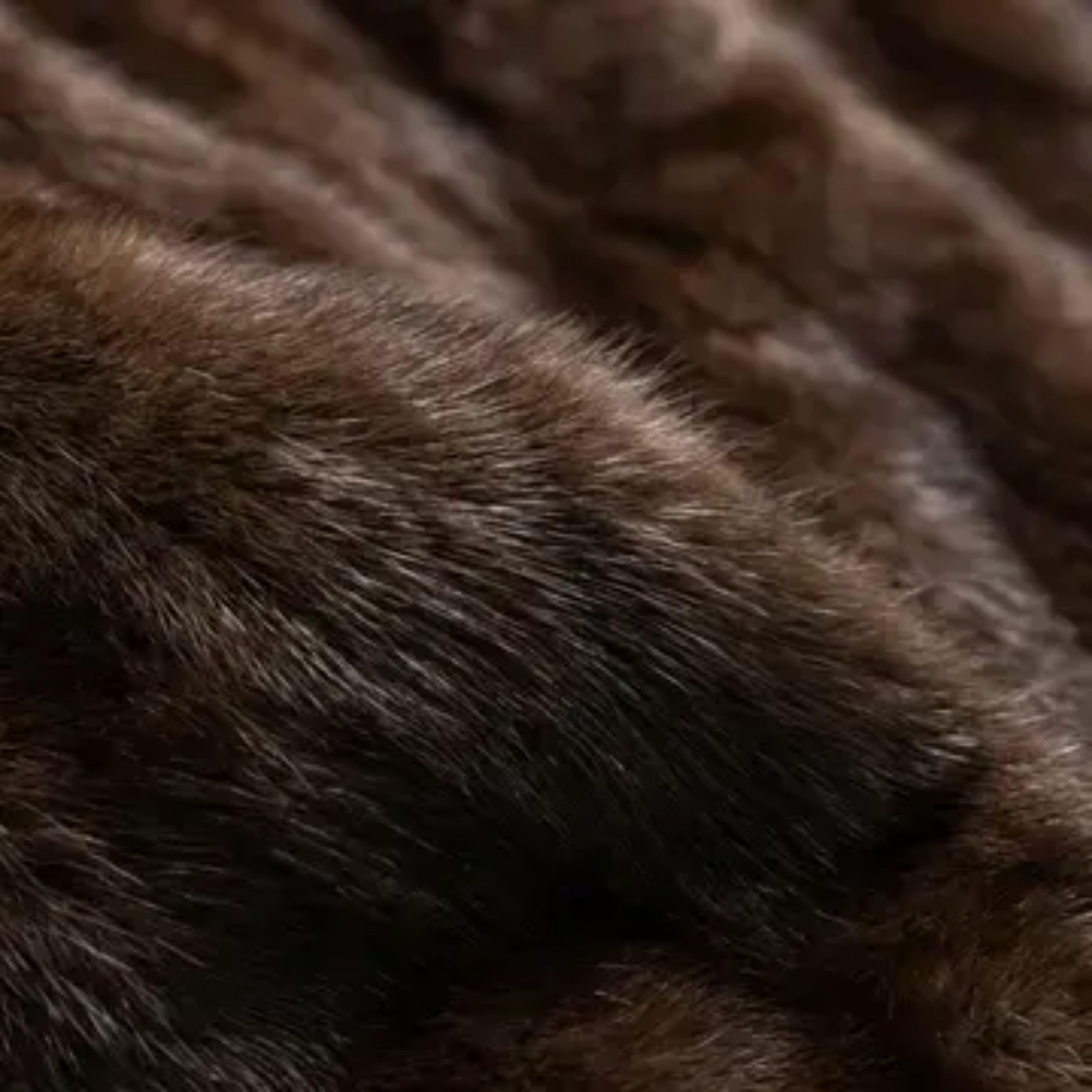 图片展示了一只猫的爪子特写,爪子上覆盖着浓密的棕色毛发,毛发方向不一,显得蓬松且有质感。爪子部分被毛发遮挡,露出的皮肤呈浅色。背景模糊,隐约可见棕色的毛发和岩石纹理。该图片可能用于展示猫的毛发细节,与上下文提到的猫相关的内容相契合。